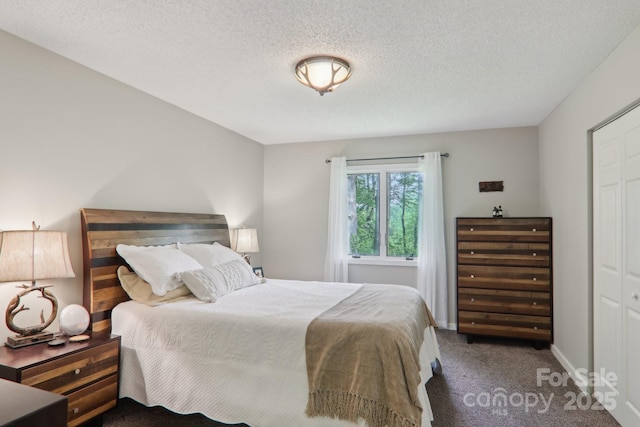 44 Falls Creek Rd, Pisgah Forest, NC 28768 - carpeted bedroom with a textured ceiling and a closet