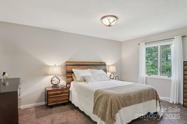44 Falls Creek Rd, Pisgah Forest, NC 28768 - carpeted bedroom featuring a textured ceiling and baseboards