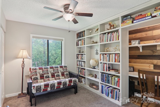 44 Falls Creek Rd, Pisgah Forest, NC 28768 - sitting room with carpet, a textured ceiling, and ceiling fan