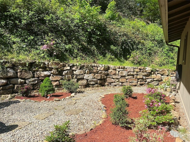 44 Falls Creek Rd, Pisgah Forest, NC 28768 - view of yard