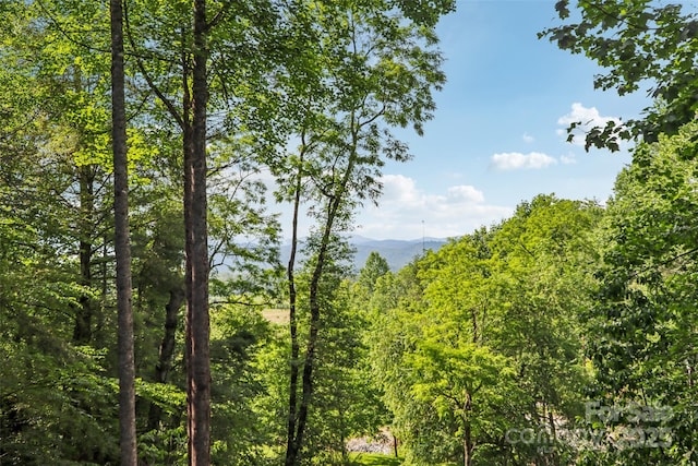44 Falls Creek Rd, Pisgah Forest, NC 28768 - view of mountain background featuring a forest