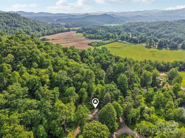 44 Falls Creek Rd, Pisgah Forest, NC 28768 - drone / aerial view of a mountain backdrop and a forest