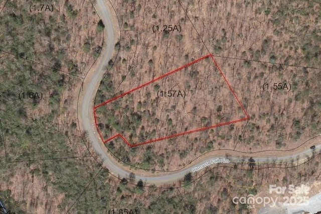 0 Pinnacle Falls Ln Unit 22, Zirconia, NC 28790
