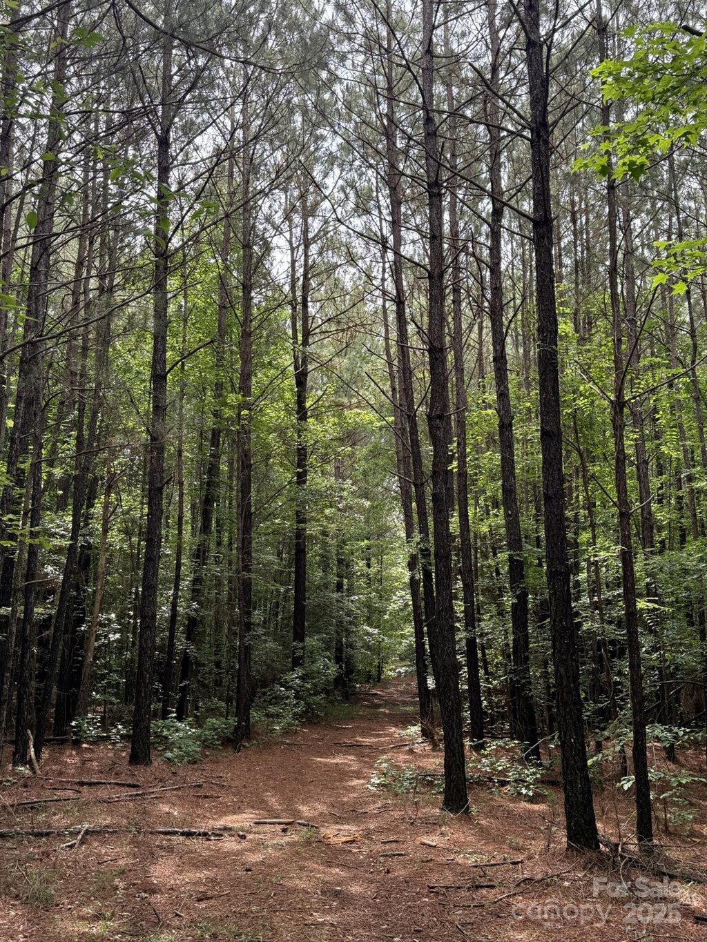 325 Kennedy Rd, Eagle Springs, NC 27242