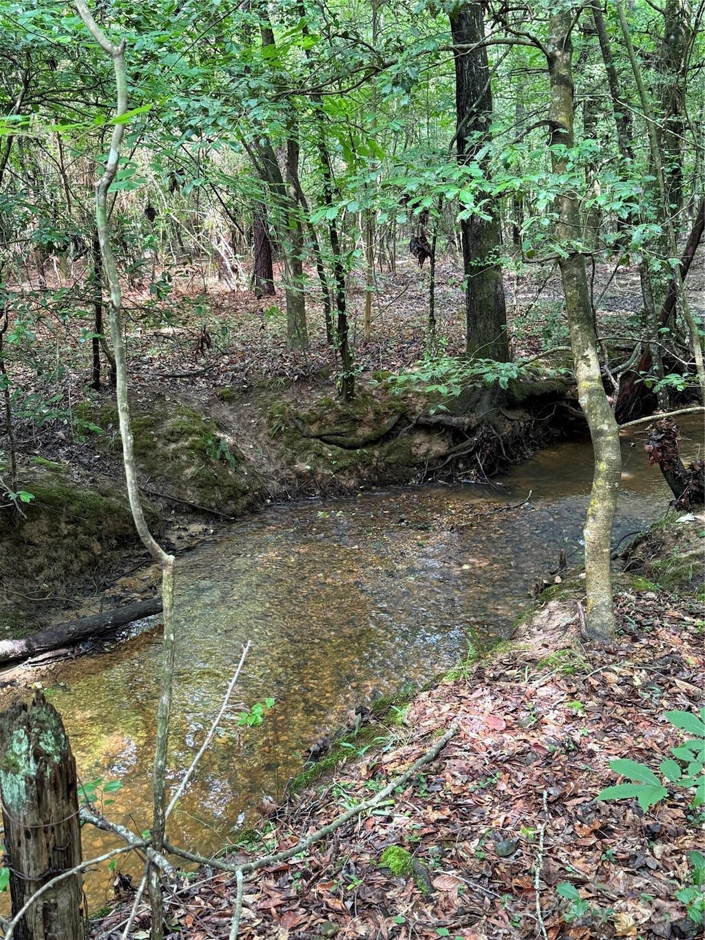 325 Kennedy Rd, Eagle Springs, NC 27242