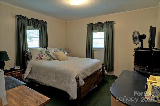 252 Chuckwood Rd, Mooresville, NC 28117 - bedroom with multiple windows, crown molding, and dark colored carpet