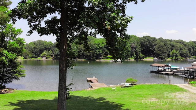 252 Chuckwood Rd, Mooresville, NC 28117 - water view with a boat dock