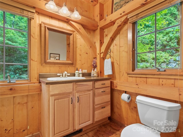 151 Sanctuary Dr, Burnsville, NC 28714 - bathroom featuring toilet, vanity, wooden walls, and wood finished floors