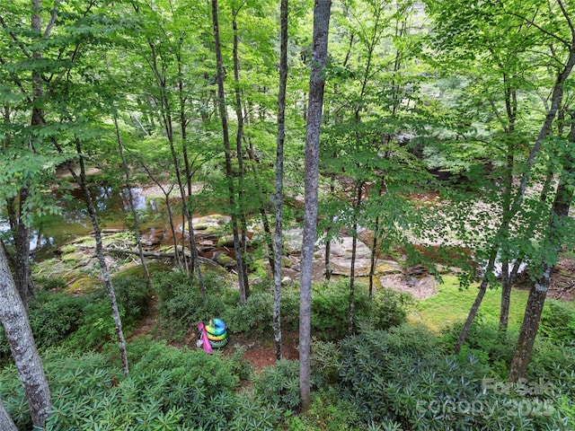 151 Sanctuary Dr, Burnsville, NC 28714 - view of yard