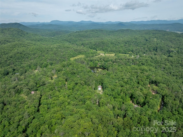 413 Rainbow Lake Dr, Brevard, NC 28712 - photo 5