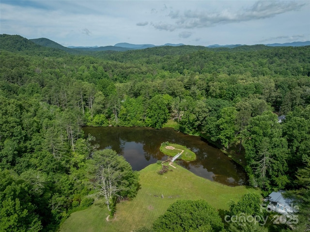 413 Rainbow Lake Dr, Brevard, NC 28712 - photo 6