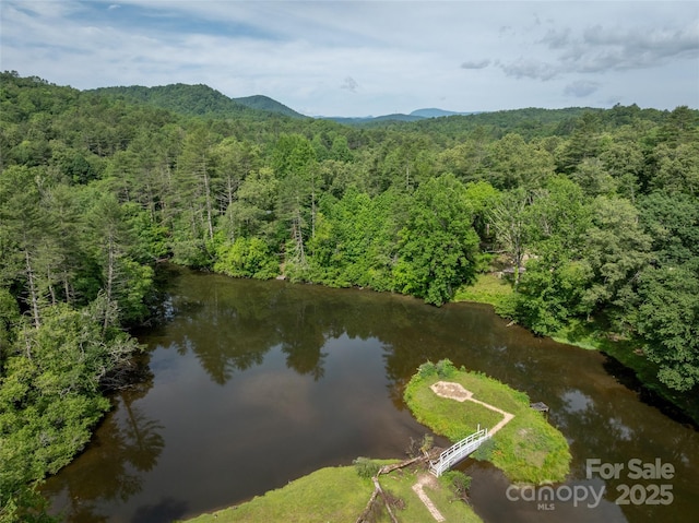 413 Rainbow Lake Dr, Brevard, NC 28712 - photo 7