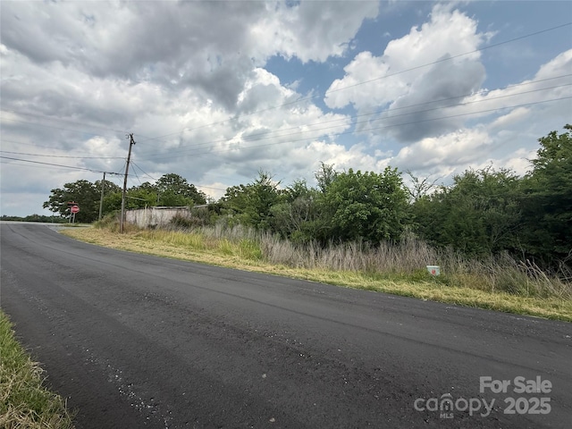 3802 Old Pageland Monroe Rd, Monroe, NC 28112 - photo 7