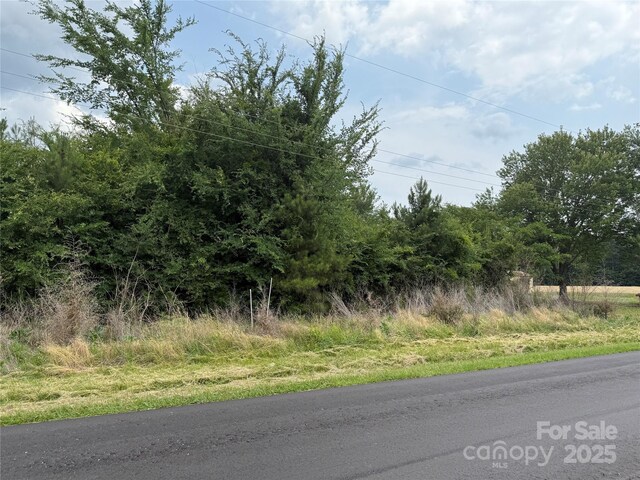 3802 Old Pageland Monroe Rd, Monroe, NC 28112 - photo 9