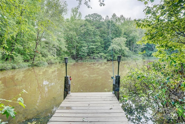 1062 Willow Ridge Ln, Fort Mill, SC 29707 - dock featuring a water view and a view of trees
