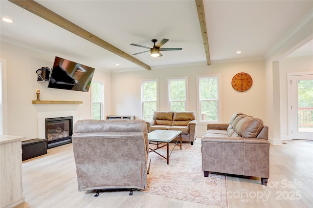 1062 Willow Ridge Ln, Fort Mill, SC 29707 - living area featuring beamed ceiling, healthy amount of natural light, a ceiling fan, light wood-style flooring, and a glass covered fireplace