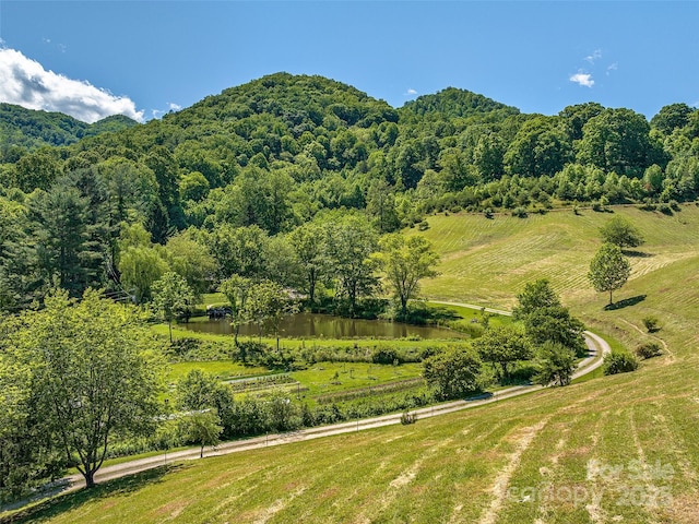 00 Heath Retreat Rd, Waynesville, NC 28786