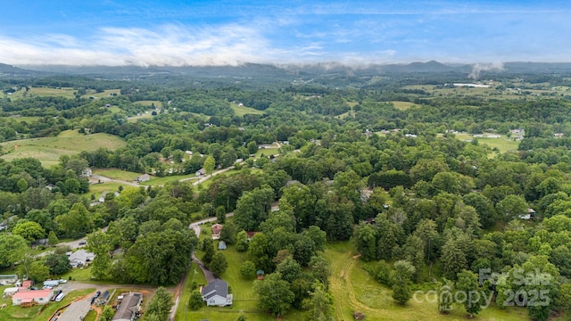 14 H G Buckner Meadow Rd, Alexander, NC 28701 - photo 43