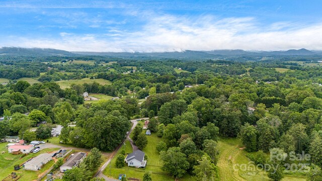 14 H G Buckner Meadow Rd, Alexander, NC 28701 - photo 46