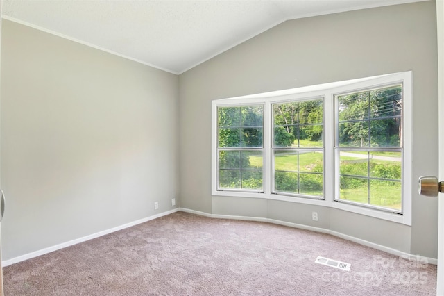 1016 S D Ave, Maiden, NC 28650 - empty room featuring baseboards, carpet, vaulted ceiling, and ornamental molding