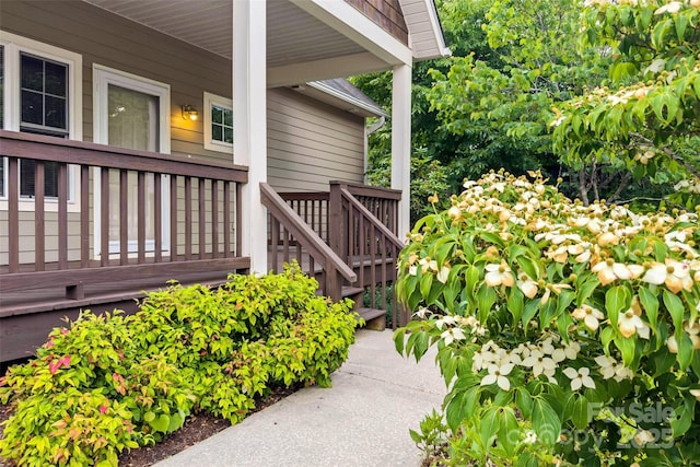 1 Teresa Way, Black Mountain, NC 28711 - view of doorway to property