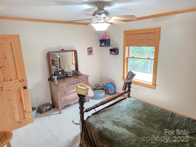 320 Estes Farm Trl, Eden, NC 27288 - photo 43