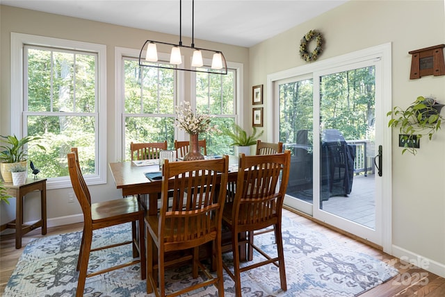 55 Highland Dr, Black Mountain, NC 28711 - photo 14