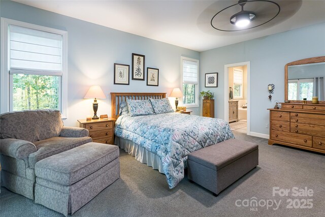 55 Highland Dr, Black Mountain, NC 28711 - photo 19