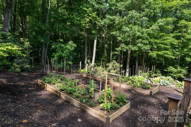 55 Highland Dr, Black Mountain, NC 28711 - photo 42