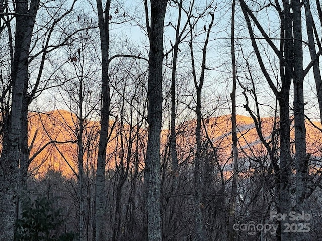 55 Highland Dr, Black Mountain, NC 28711 - photo 48