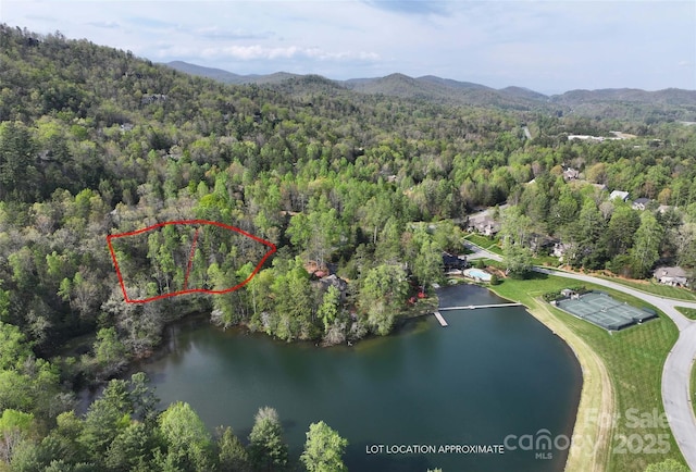 TBD Trailside Ct, Brevard, NC 28712 - photo 1