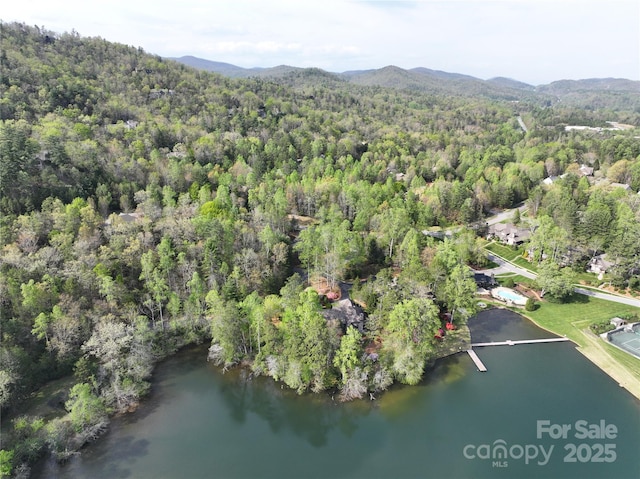 TBD Trailside Ct, Brevard, NC 28712 - photo 2