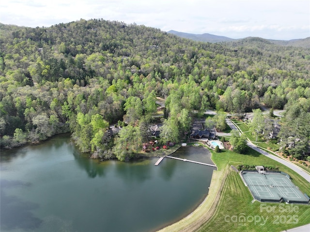 TBD Trailside Ct, Brevard, NC 28712 - photo 3