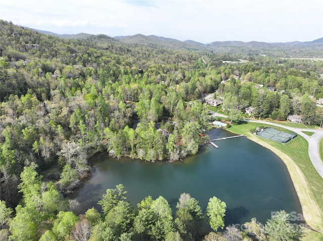 TBD Trailside Ct, Brevard, NC 28712 - photo 4