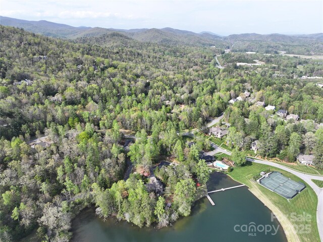 TBD Trailside Ct, Brevard, NC 28712 - photo 5