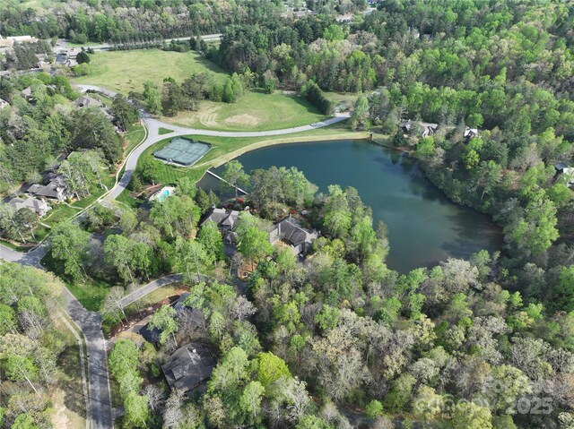 TBD Trailside Ct, Brevard, NC 28712 - photo 7