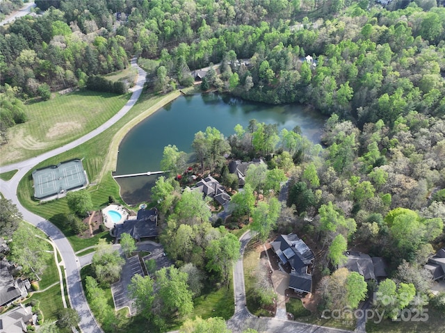TBD Trailside Ct, Brevard, NC 28712 - photo 8