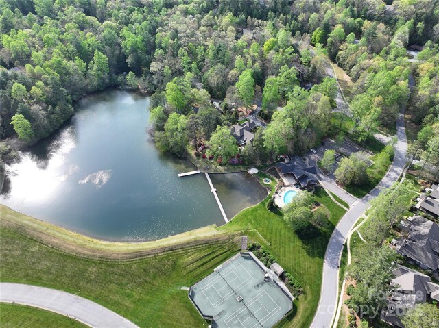 TBD Trailside Ct, Brevard, NC 28712 - photo 9