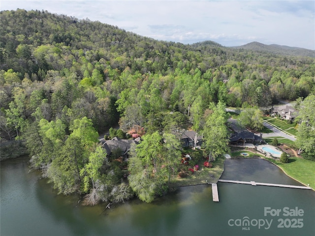TBD Trailside Ct, Brevard, NC 28712 - photo 10