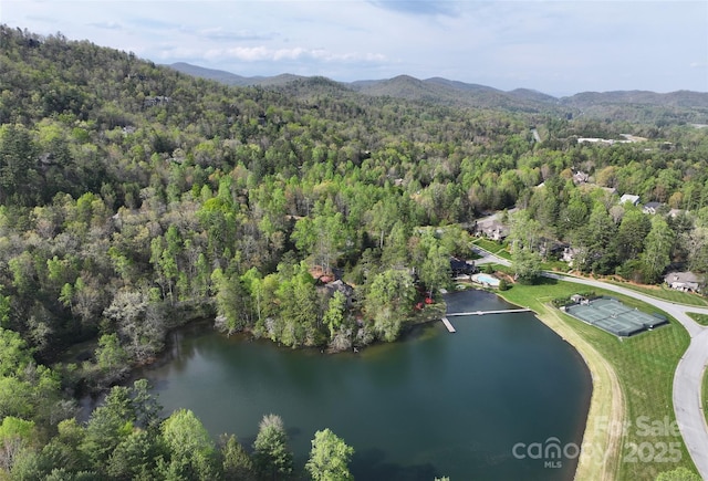 TBD Trailside Ct, Brevard, NC 28712 - photo 11