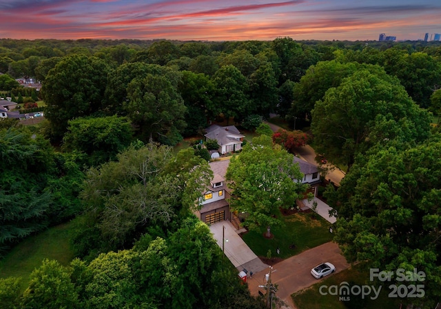 725 Hillside Ave, Charlotte, NC 28209 - photo 13