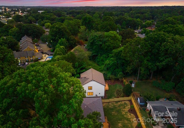 725 Hillside Ave, Charlotte, NC 28209 - photo 16