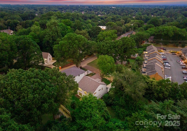 725 Hillside Ave, Charlotte, NC 28209 - photo 19