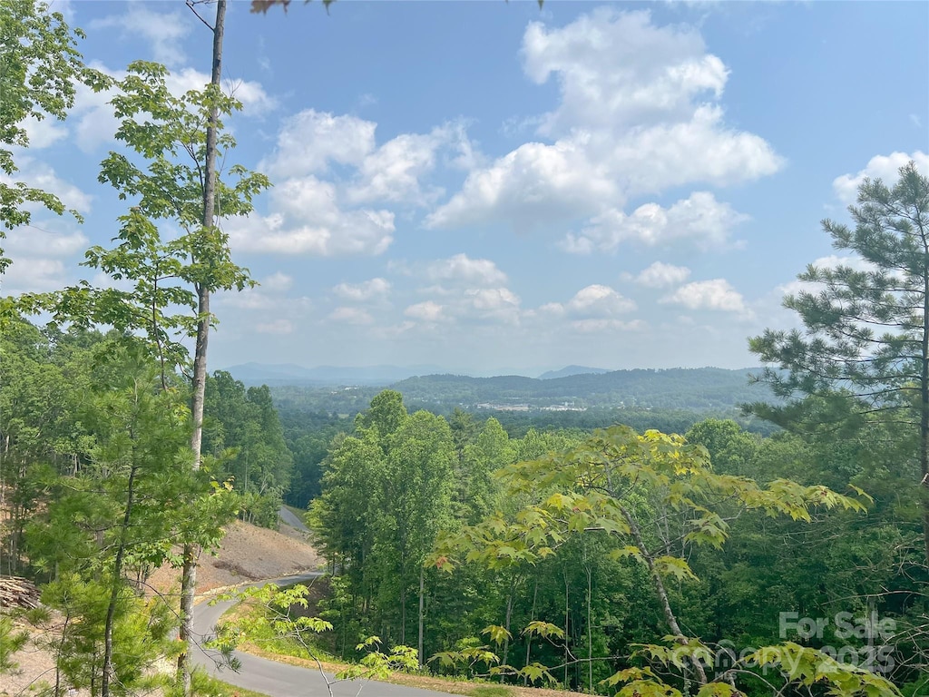 000 Northview Dr Unit 11, Hendersonville, NC 28791