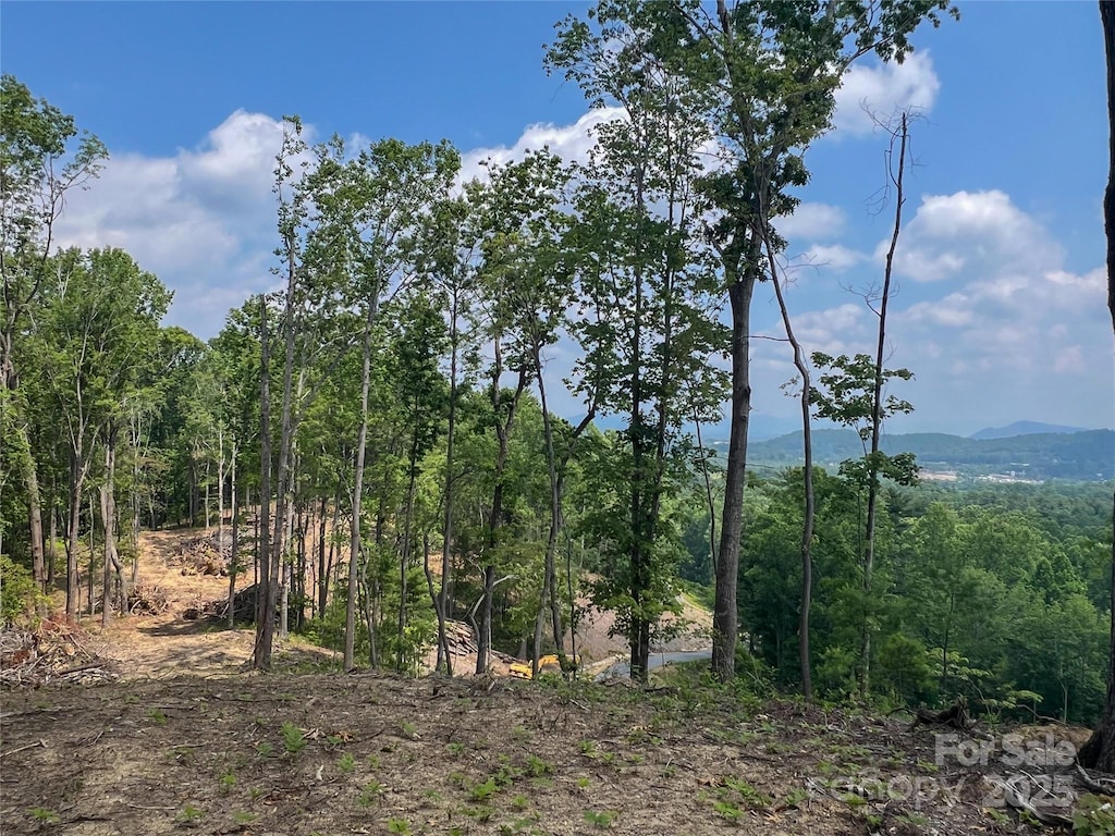 000 Northview Dr Unit 11, Hendersonville, NC 28791