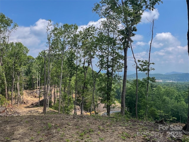 000 Northview Dr Unit 11, Hendersonville, NC 28791