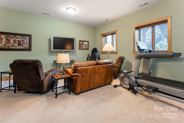 649 Panoramic Loop, Maggie Valley, NC 28751 - view of carpeted living room