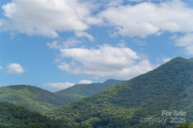 649 Panoramic Loop, Maggie Valley, NC 28751 - photo 40