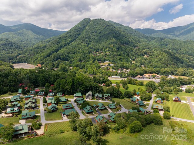 649 Panoramic Loop, Maggie Valley, NC 28751 - photo 45