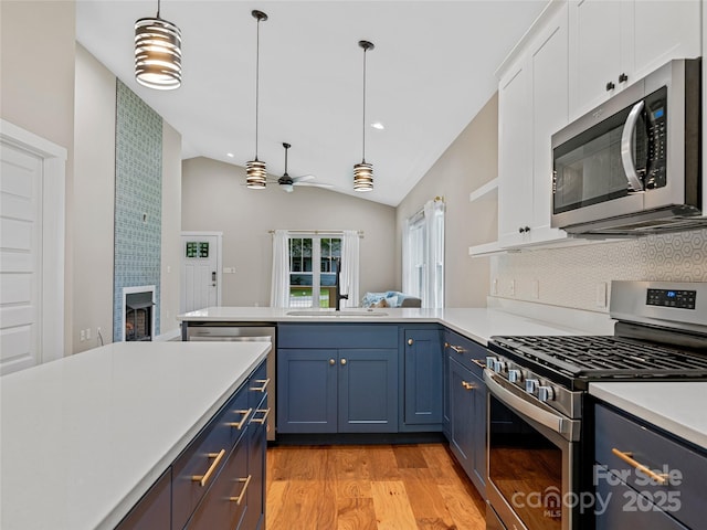 108 Le-An-Hurst Rd, Asheville, NC 28803 - kitchen featuring stainless steel appliances, blue cabinetry, light countertops, light wood-style floors, and ceiling fan